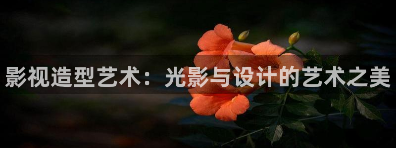 飞马影院在线观看