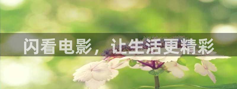 飞马良子影视有限公司：闪看电影，让生活更精彩