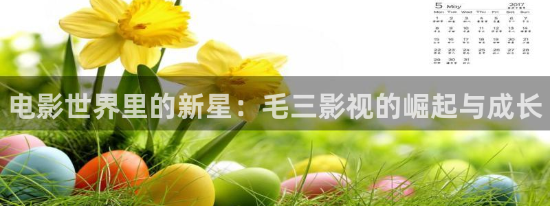飞马影院免费下载：电影世界里的新星：毛三影视的崛起与成长