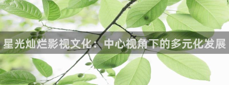 飞马影院下载
