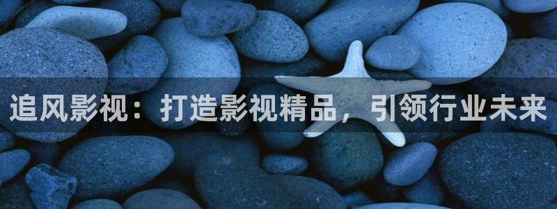 飞马影视：追风影视：打造影视精品，引领行业未来