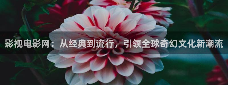 飞马影院免费下载：影视电影网：从经典到流行，引领全球奇幻文化新潮流
