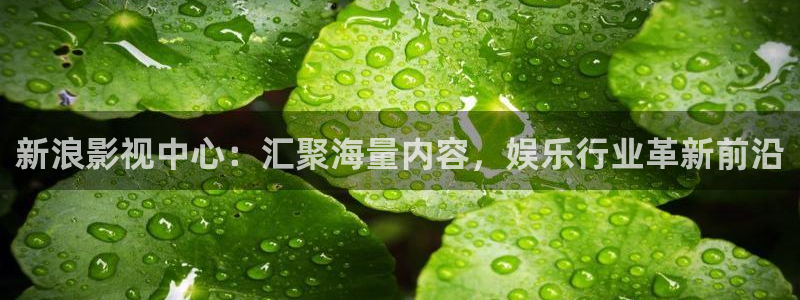飞马影院免费下载